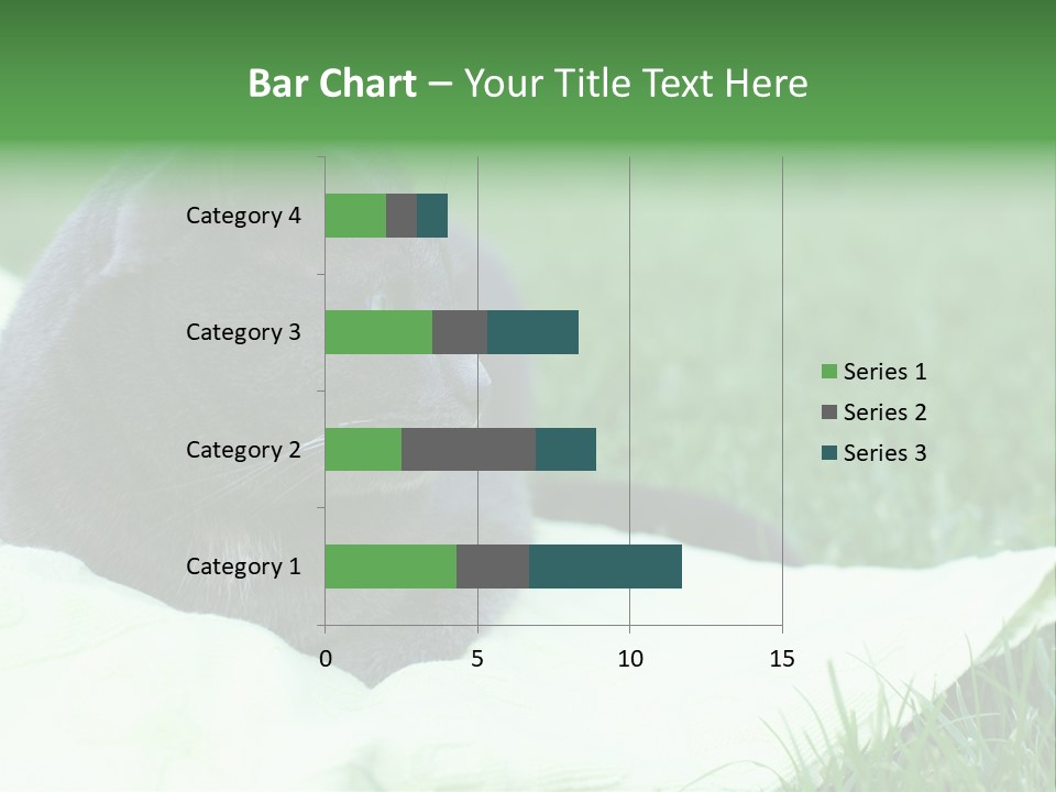 A Gray Cat Laying On Top Of A Blanket In The Grass PowerPoint Template