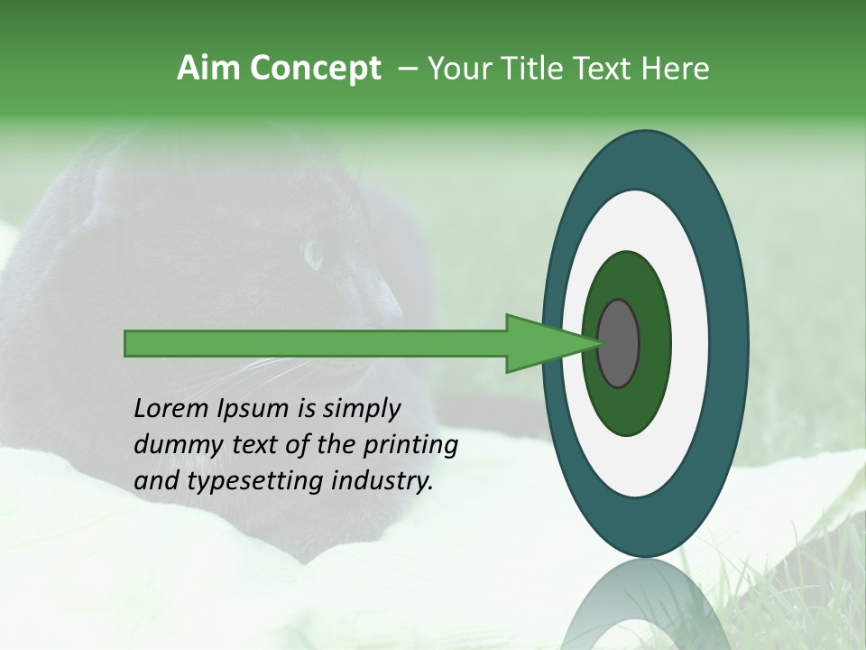 A Gray Cat Laying On Top Of A Blanket In The Grass PowerPoint Template