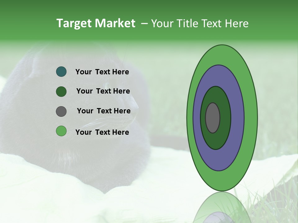 A Gray Cat Laying On Top Of A Blanket In The Grass PowerPoint Template