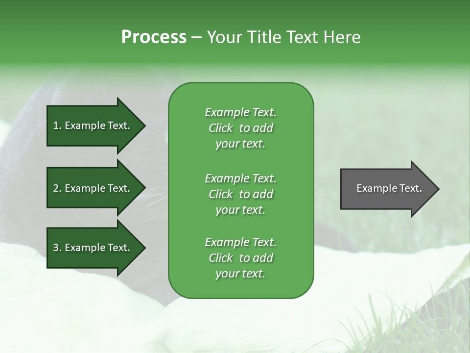 A Gray Cat Laying On Top Of A Blanket In The Grass PowerPoint Template