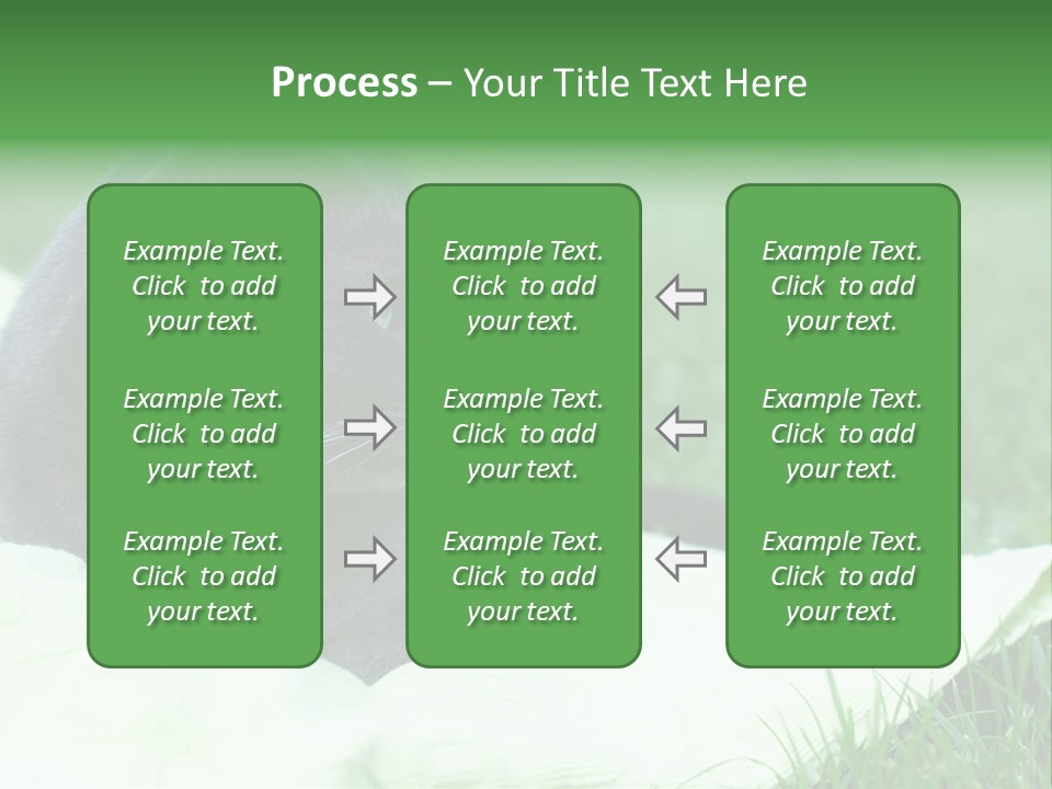 A Gray Cat Laying On Top Of A Blanket In The Grass PowerPoint Template