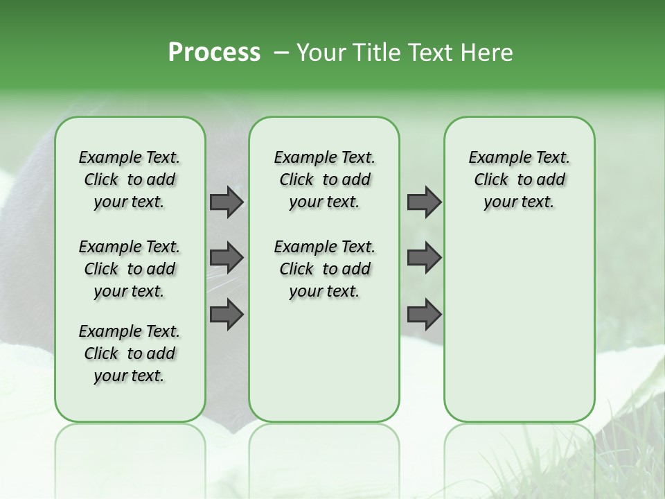 A Gray Cat Laying On Top Of A Blanket In The Grass PowerPoint Template