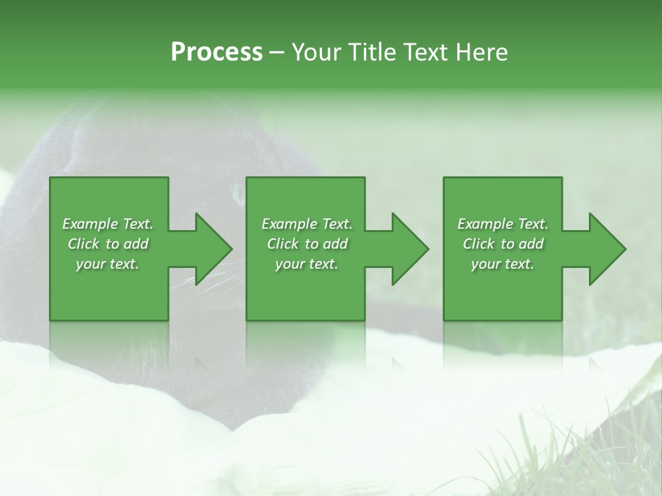 A Gray Cat Laying On Top Of A Blanket In The Grass PowerPoint Template