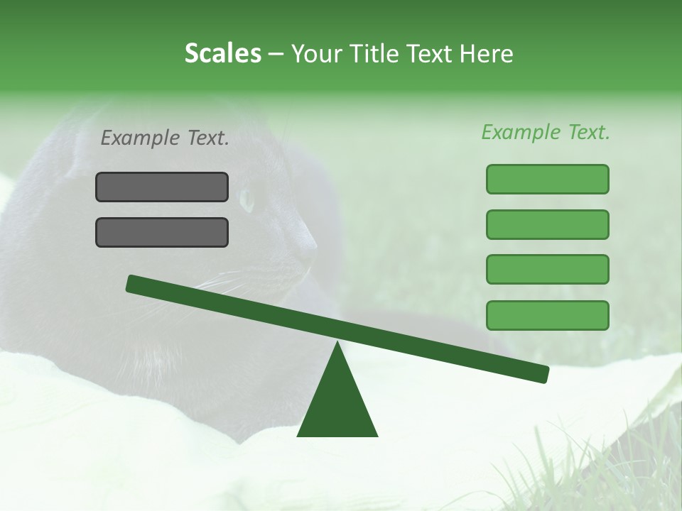 A Gray Cat Laying On Top Of A Blanket In The Grass PowerPoint Template