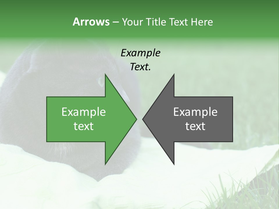 A Gray Cat Laying On Top Of A Blanket In The Grass PowerPoint Template