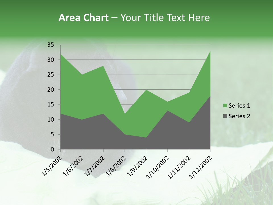A Gray Cat Laying On Top Of A Blanket In The Grass PowerPoint Template
