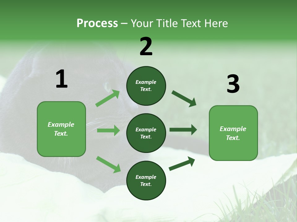 A Gray Cat Laying On Top Of A Blanket In The Grass PowerPoint Template