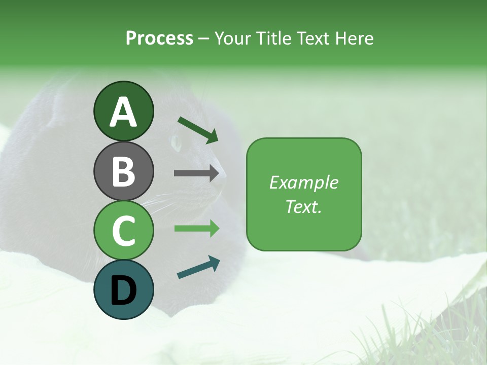 A Gray Cat Laying On Top Of A Blanket In The Grass PowerPoint Template