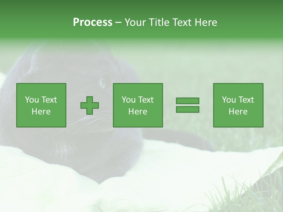 A Gray Cat Laying On Top Of A Blanket In The Grass PowerPoint Template