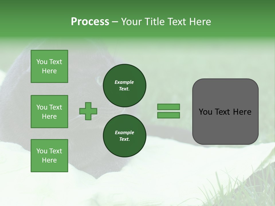 A Gray Cat Laying On Top Of A Blanket In The Grass PowerPoint Template