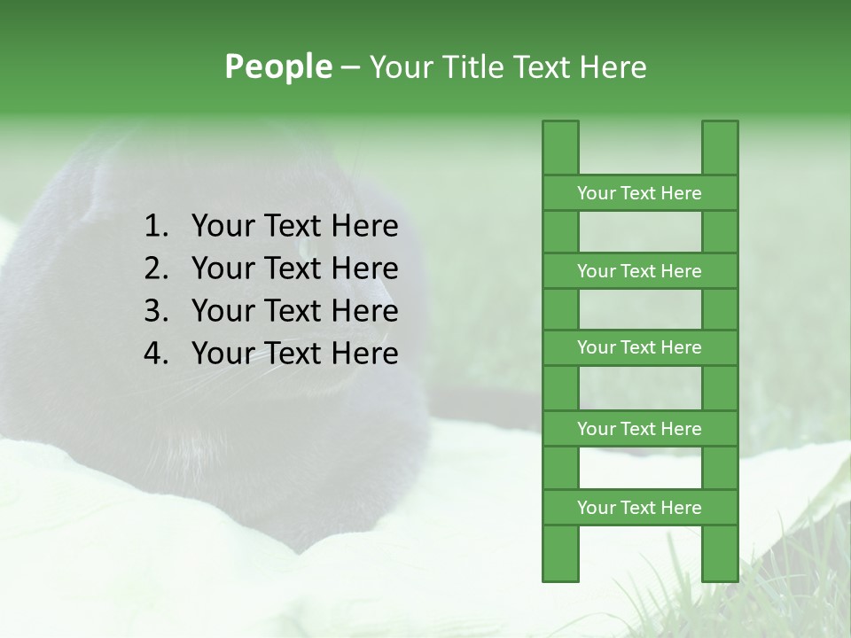 A Gray Cat Laying On Top Of A Blanket In The Grass PowerPoint Template