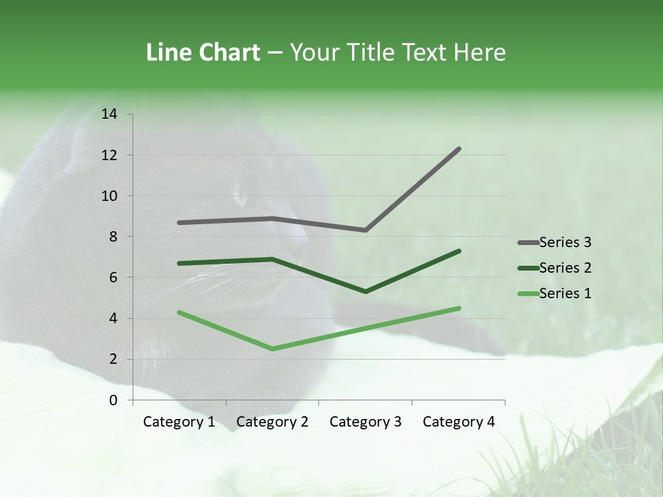 A Gray Cat Laying On Top Of A Blanket In The Grass PowerPoint Template