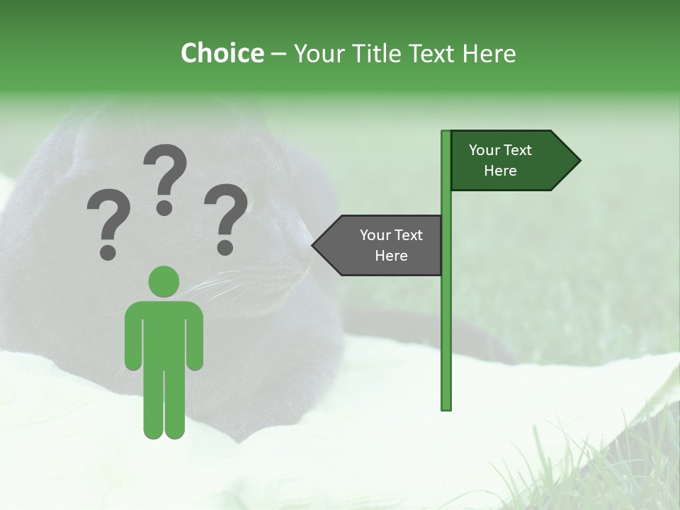 A Gray Cat Laying On Top Of A Blanket In The Grass PowerPoint Template