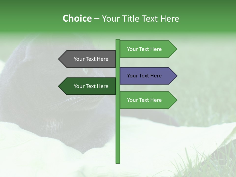 A Gray Cat Laying On Top Of A Blanket In The Grass PowerPoint Template