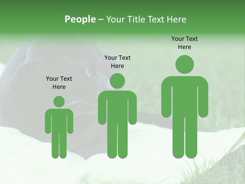 A Gray Cat Laying On Top Of A Blanket In The Grass PowerPoint Template