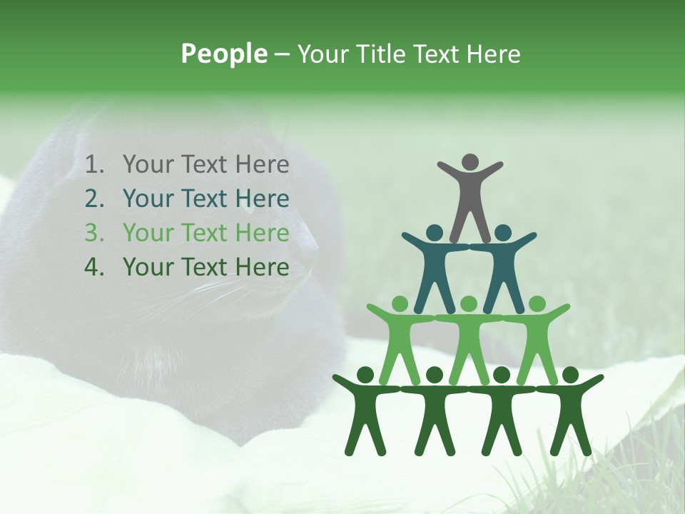 A Gray Cat Laying On Top Of A Blanket In The Grass PowerPoint Template