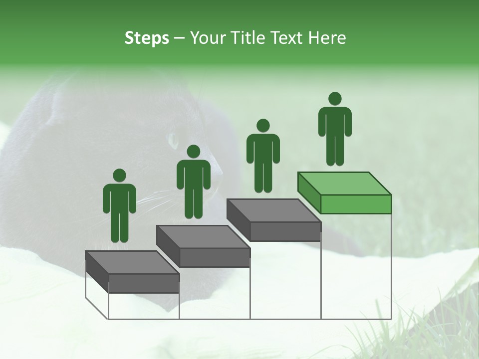 A Gray Cat Laying On Top Of A Blanket In The Grass PowerPoint Template