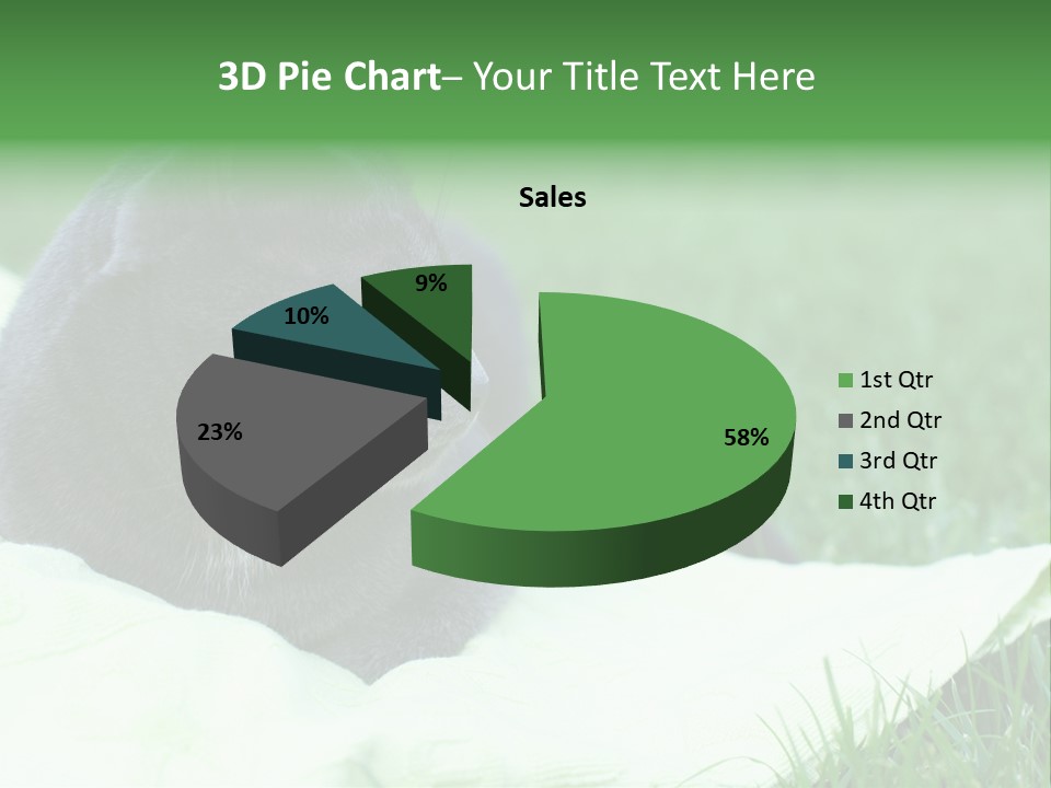 A Gray Cat Laying On Top Of A Blanket In The Grass PowerPoint Template