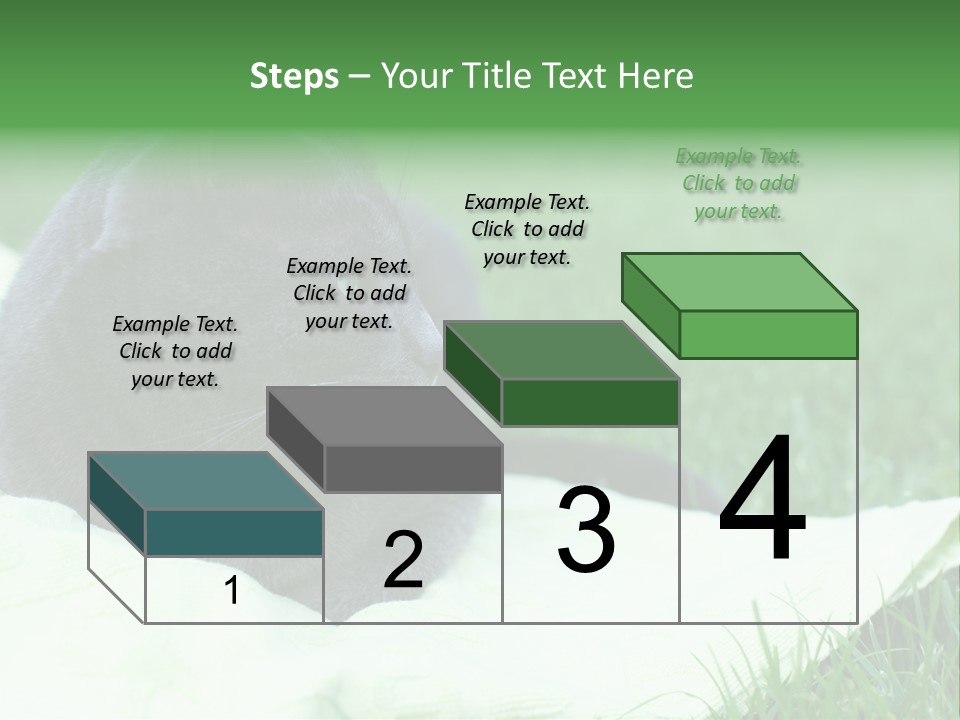 A Gray Cat Laying On Top Of A Blanket In The Grass PowerPoint Template