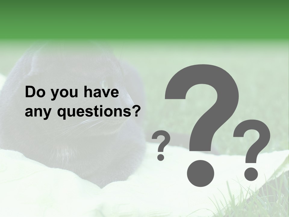 A Gray Cat Laying On Top Of A Blanket In The Grass PowerPoint Template