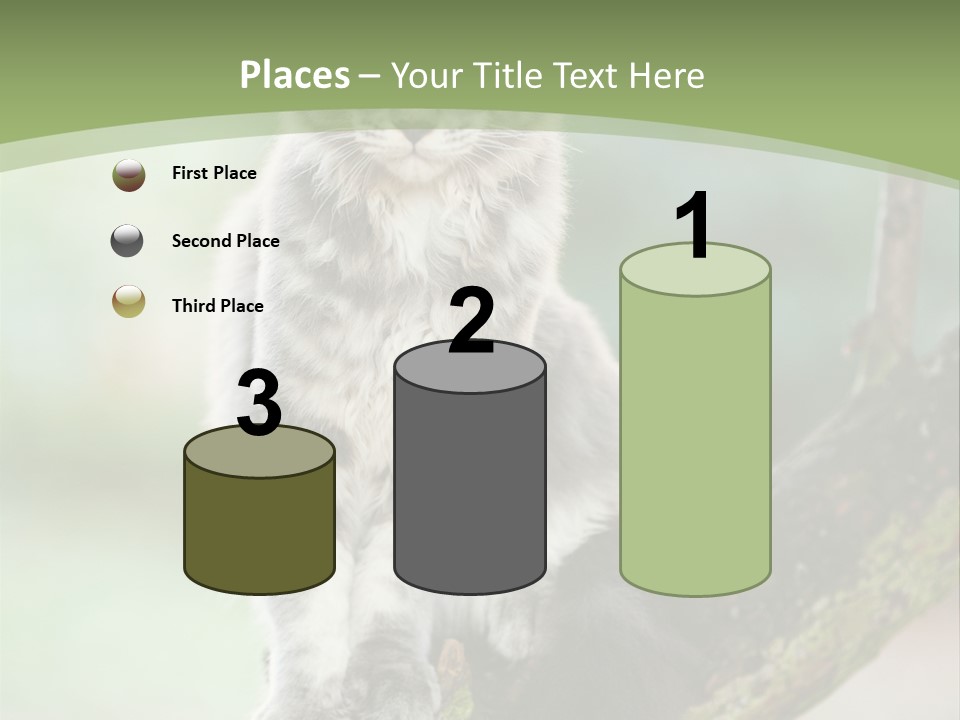 A Cat Sitting On A Tree Branch Powerpoint Template PowerPoint Template