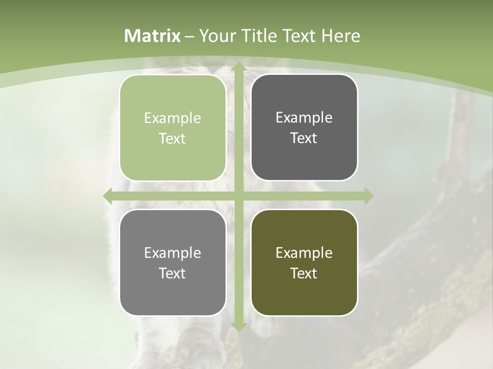 A Cat Sitting On A Tree Branch Powerpoint Template PowerPoint Template