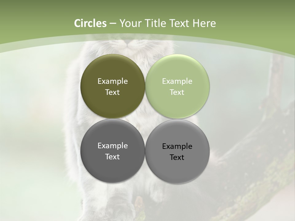 A Cat Sitting On A Tree Branch Powerpoint Template PowerPoint Template
