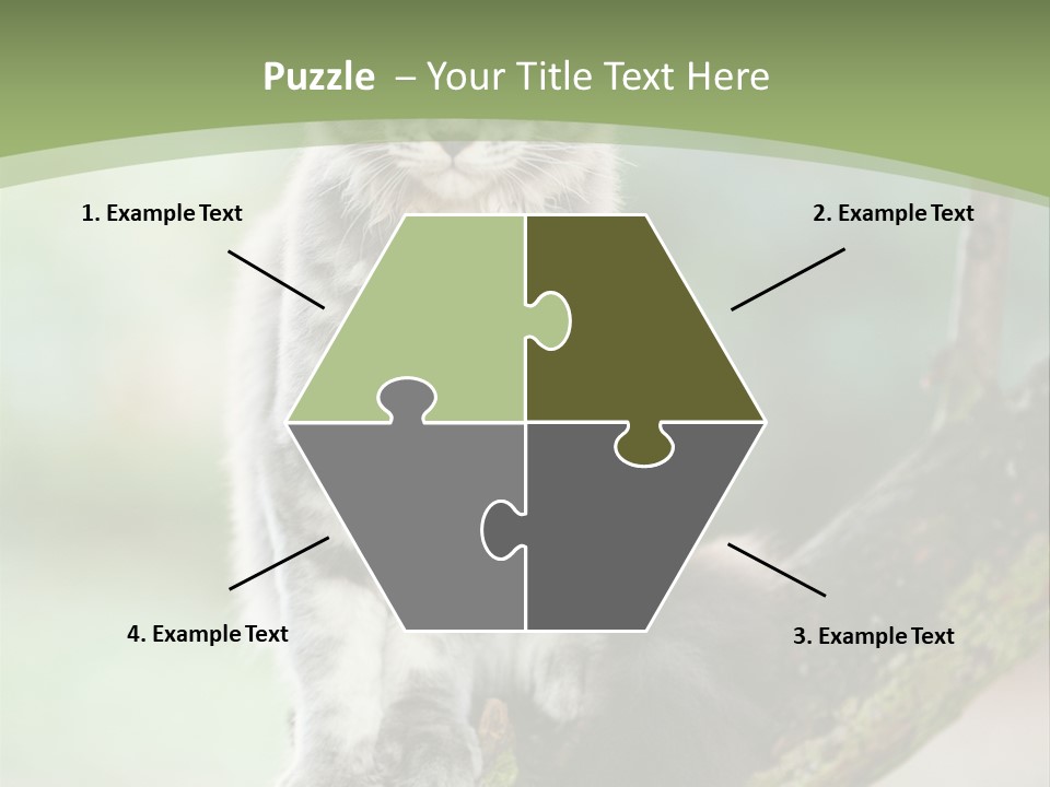 A Cat Sitting On A Tree Branch Powerpoint Template PowerPoint Template