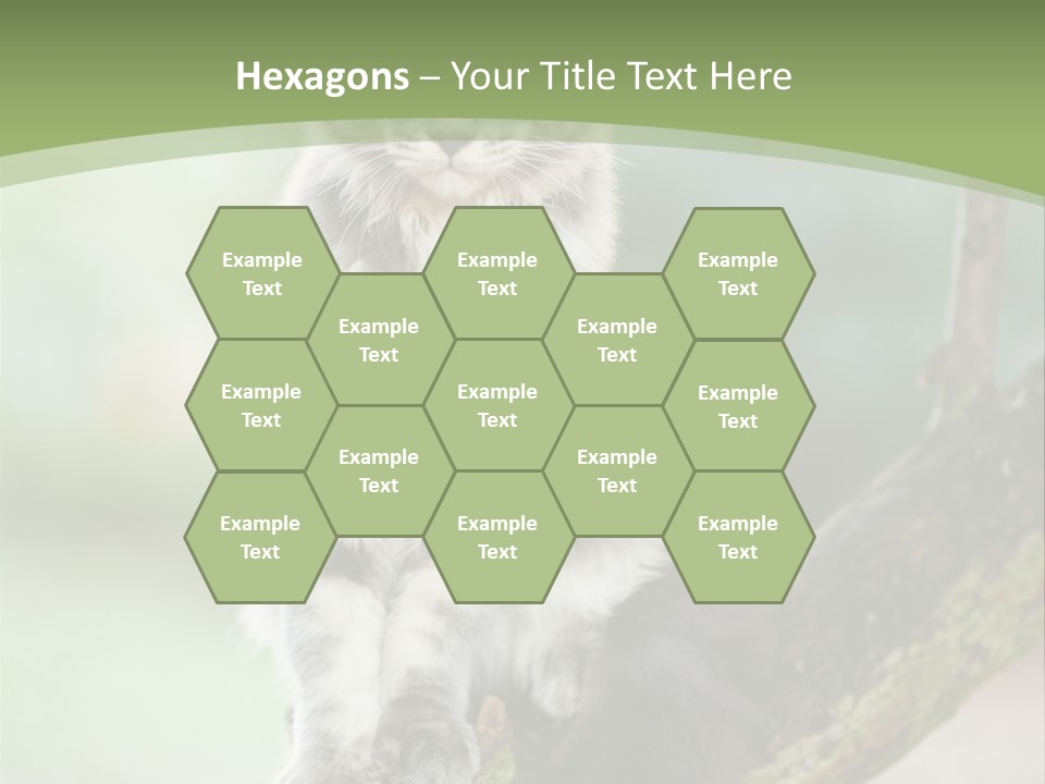 A Cat Sitting On A Tree Branch Powerpoint Template PowerPoint Template