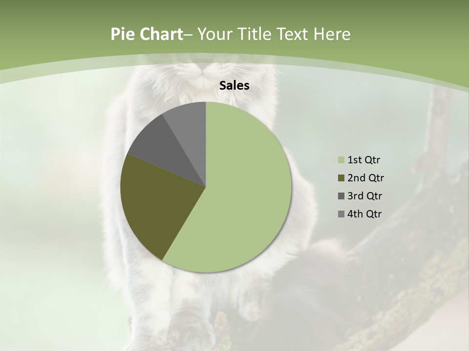 A Cat Sitting On A Tree Branch Powerpoint Template PowerPoint Template