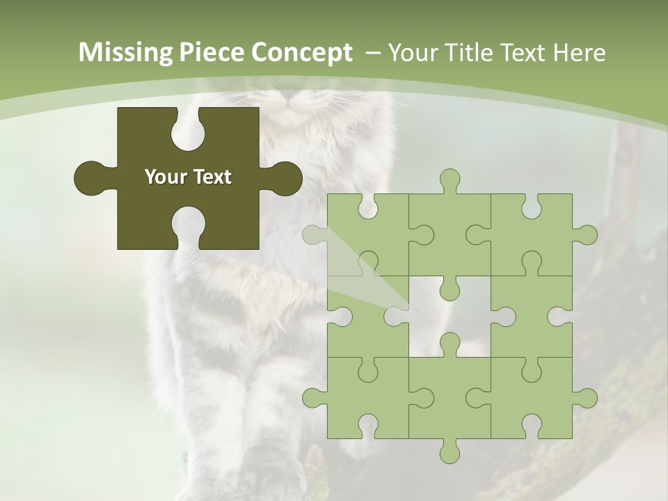 A Cat Sitting On A Tree Branch Powerpoint Template PowerPoint Template