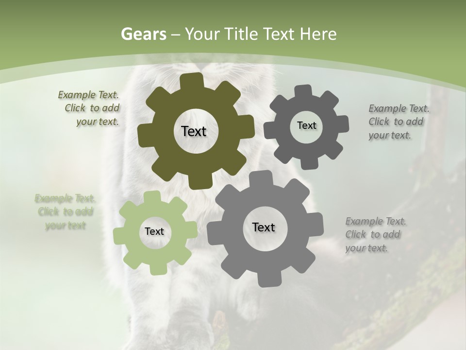 A Cat Sitting On A Tree Branch Powerpoint Template PowerPoint Template