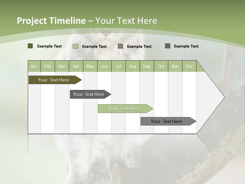 A Cat Sitting On A Tree Branch Powerpoint Template PowerPoint Template