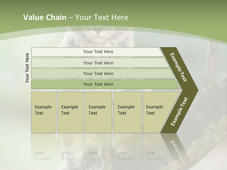 A Cat Sitting On A Tree Branch Powerpoint Template PowerPoint Template