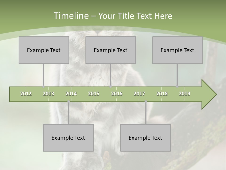 A Cat Sitting On A Tree Branch Powerpoint Template PowerPoint Template
