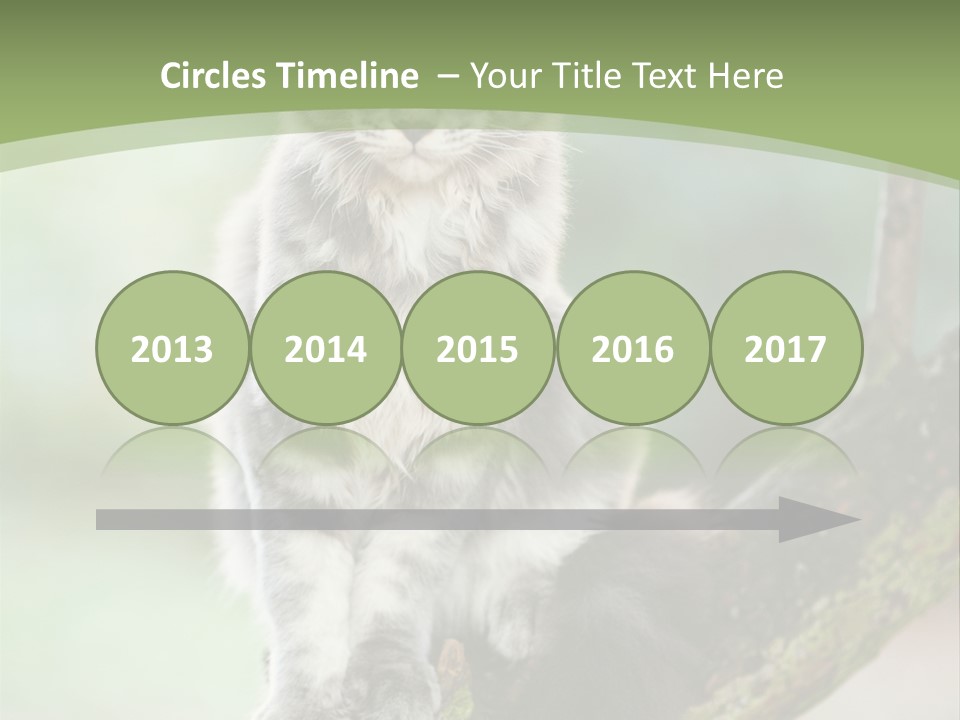 A Cat Sitting On A Tree Branch Powerpoint Template PowerPoint Template