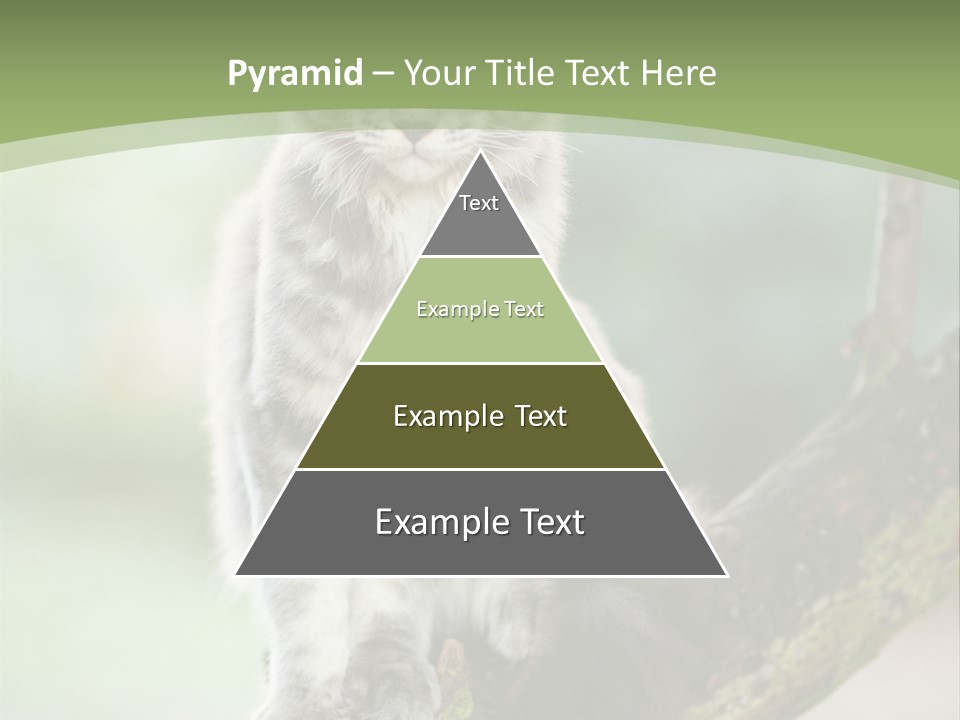 A Cat Sitting On A Tree Branch Powerpoint Template PowerPoint Template