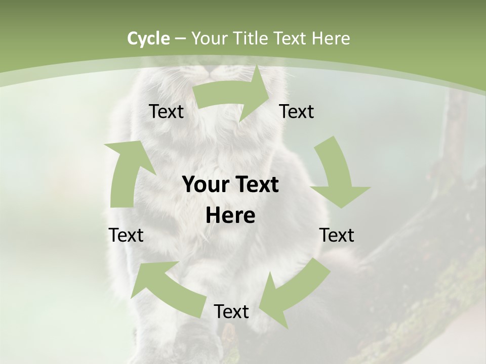 A Cat Sitting On A Tree Branch Powerpoint Template PowerPoint Template