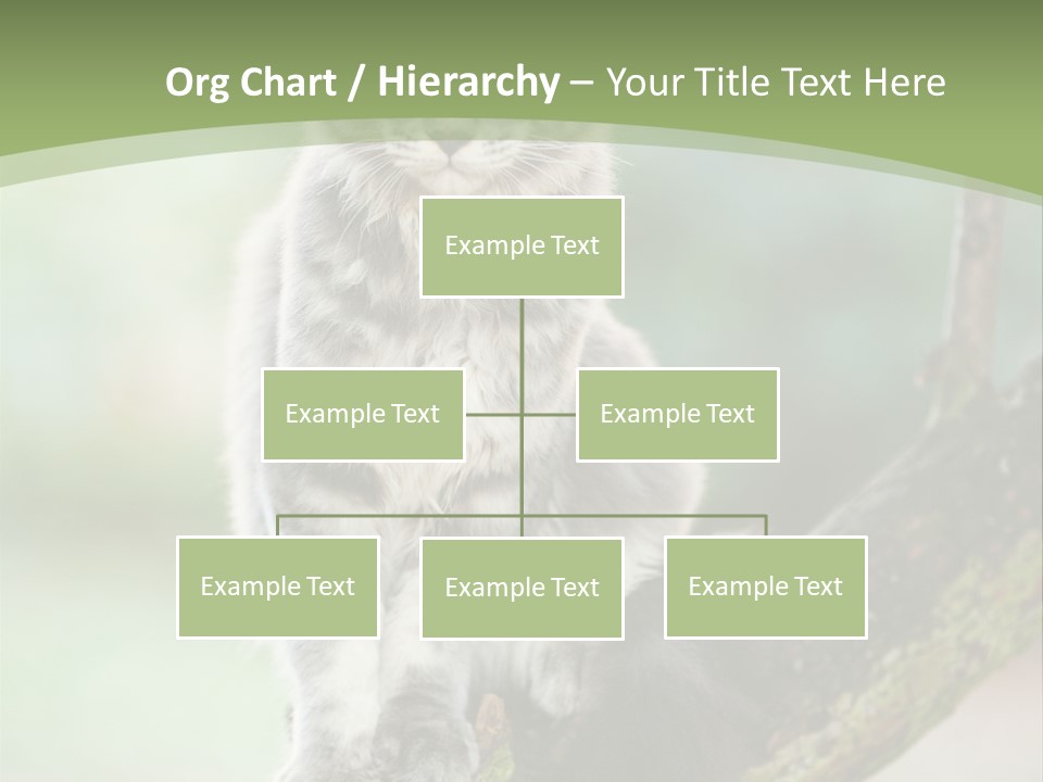 A Cat Sitting On A Tree Branch Powerpoint Template PowerPoint Template