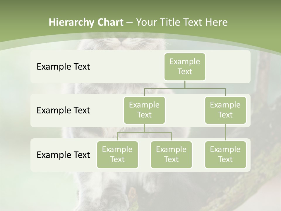 A Cat Sitting On A Tree Branch Powerpoint Template PowerPoint Template
