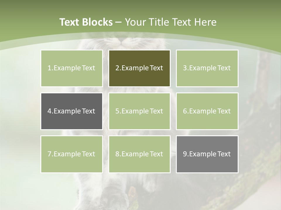 A Cat Sitting On A Tree Branch Powerpoint Template PowerPoint Template