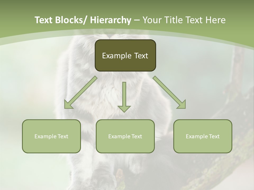 A Cat Sitting On A Tree Branch Powerpoint Template PowerPoint Template