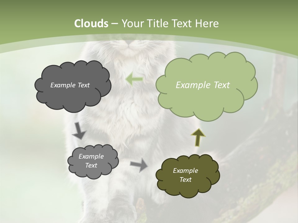 A Cat Sitting On A Tree Branch Powerpoint Template PowerPoint Template