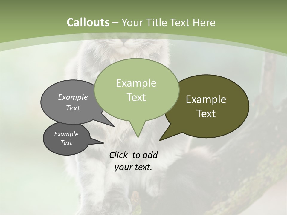 A Cat Sitting On A Tree Branch Powerpoint Template PowerPoint Template