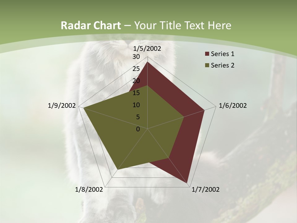 A Cat Sitting On A Tree Branch Powerpoint Template PowerPoint Template