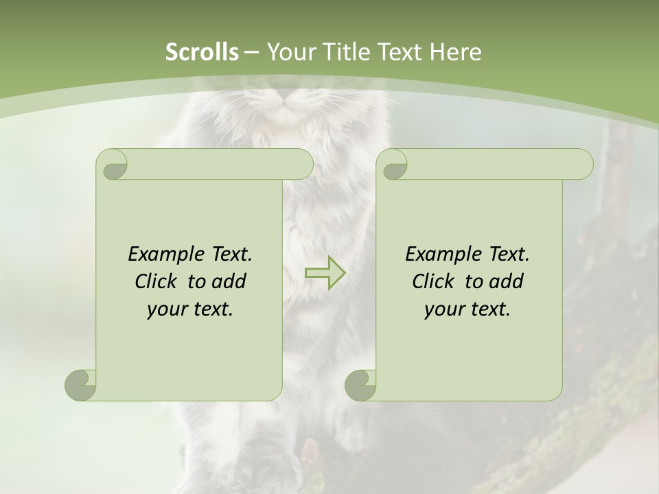 A Cat Sitting On A Tree Branch Powerpoint Template PowerPoint Template