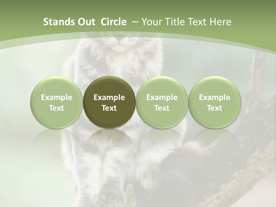 A Cat Sitting On A Tree Branch Powerpoint Template PowerPoint Template