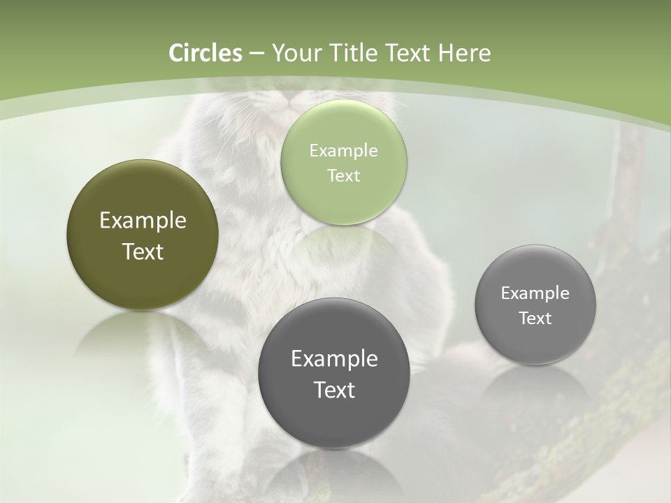 A Cat Sitting On A Tree Branch Powerpoint Template PowerPoint Template