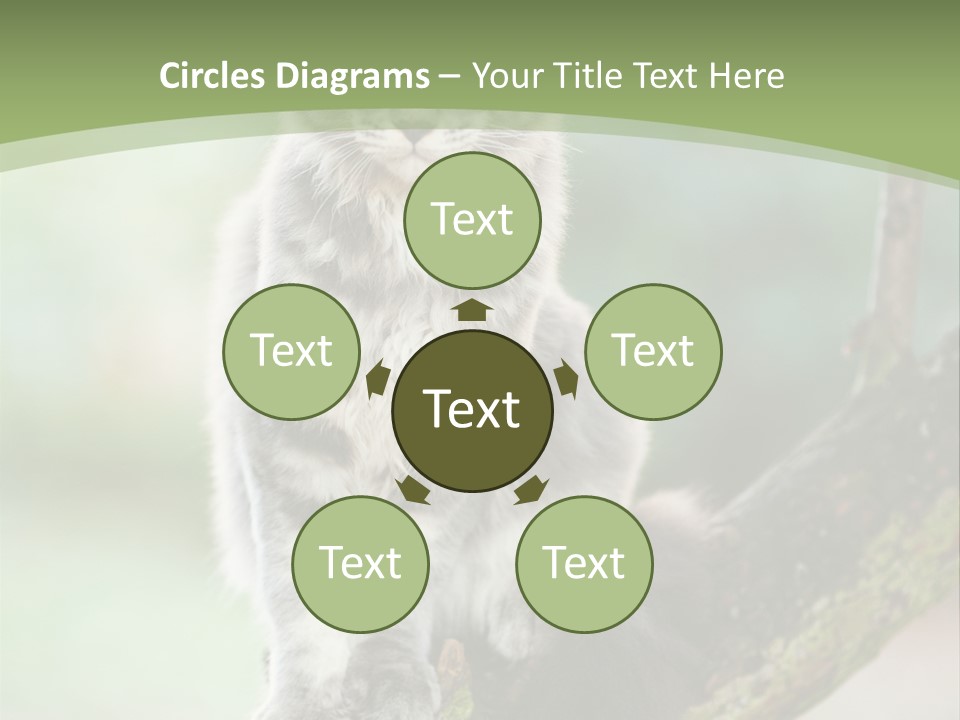 A Cat Sitting On A Tree Branch Powerpoint Template PowerPoint Template