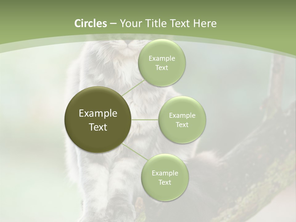 A Cat Sitting On A Tree Branch Powerpoint Template PowerPoint Template